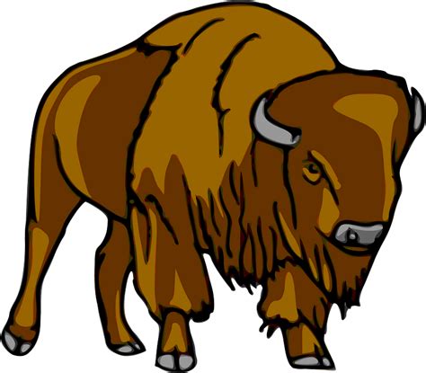 buffalo clip art|More.